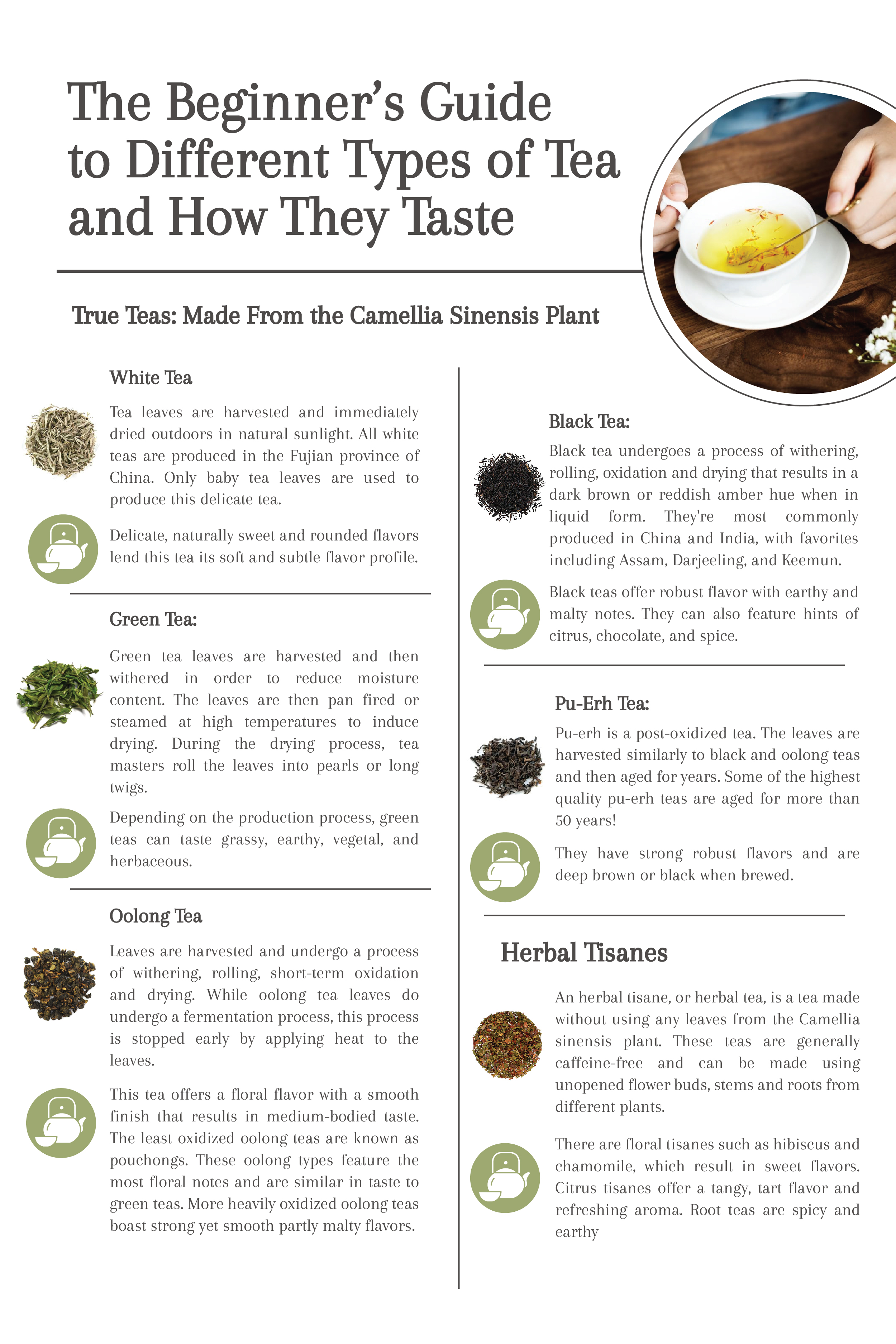 Different teas and what they do